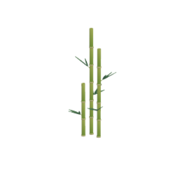 Tall bamboo