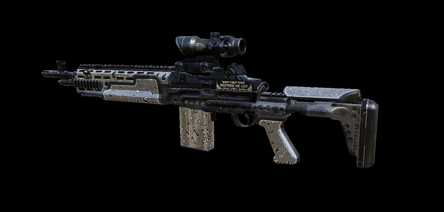M14EBR - RESTREN NE LOX / 322 PROTOCOL preview