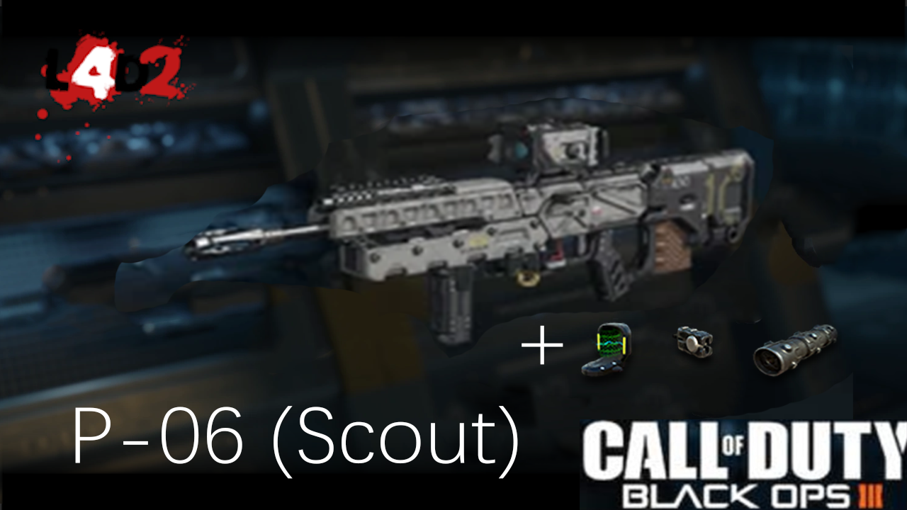 BO3 P-06 Recon[ADS] (Scout)
