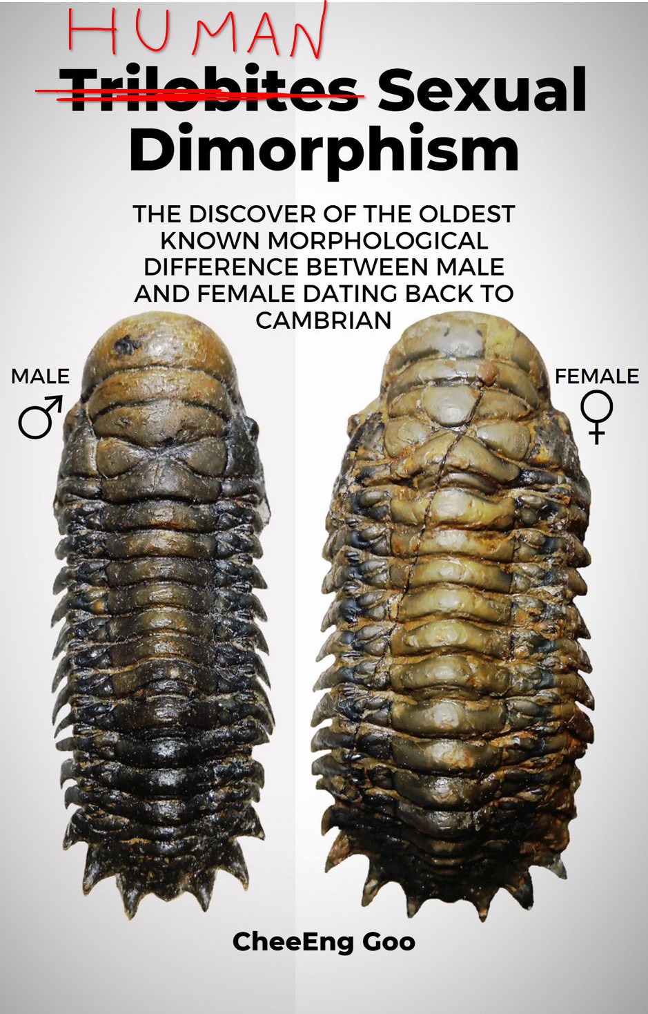 Sexual Dimorphism
