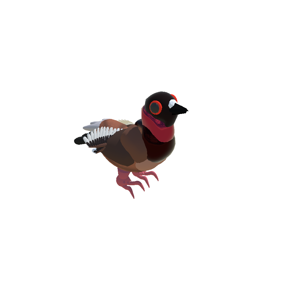 Pink Pigeom