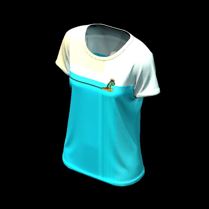 Shirt customised 1