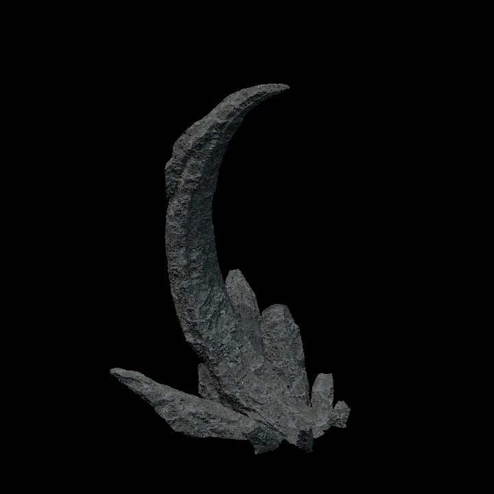 Rock Claw Large 1