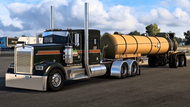 Jade Transport Skin for Moiza Mods W900 L/B preview