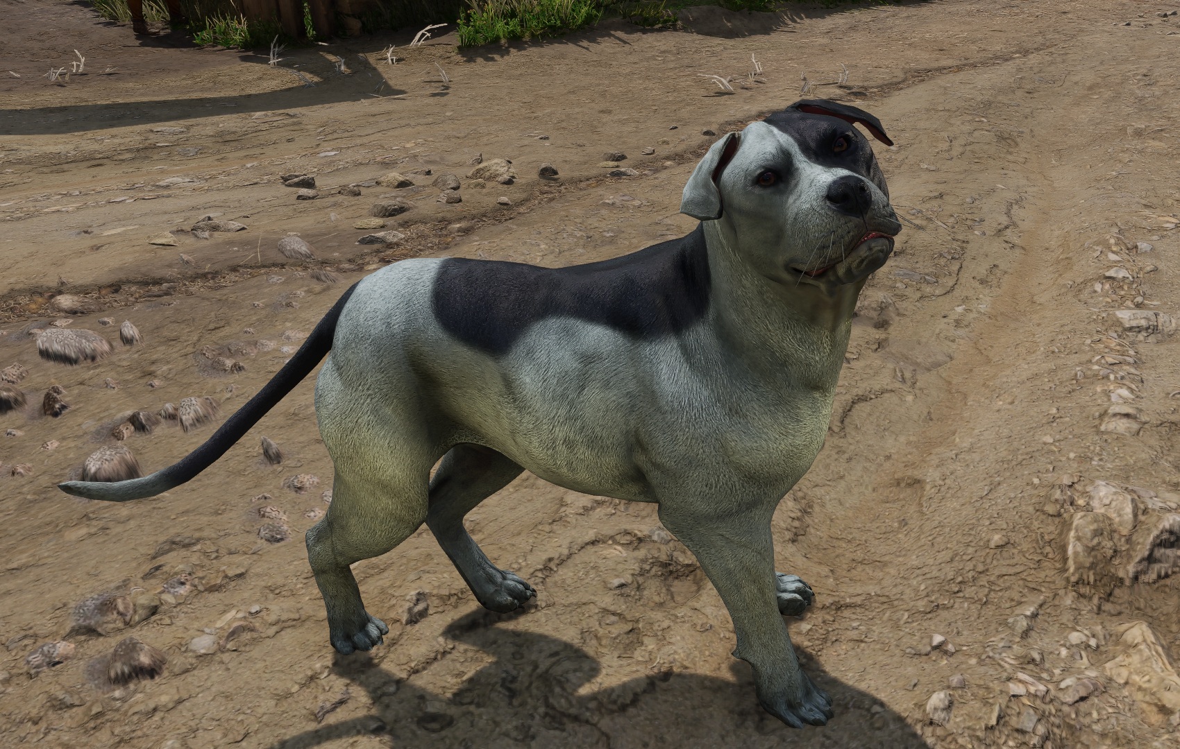 A Bigger Better Mutt