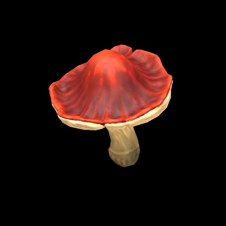 Mushroom_03