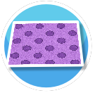 Purple Flooring (Polka Dots)