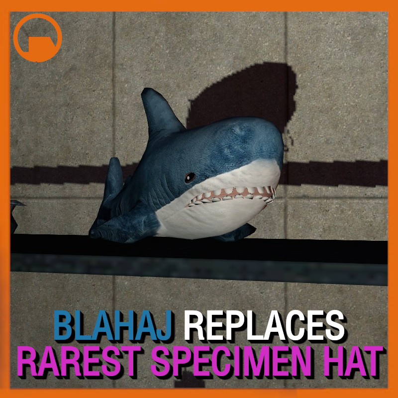 Blahaj plush over Rarest Specimen Hat