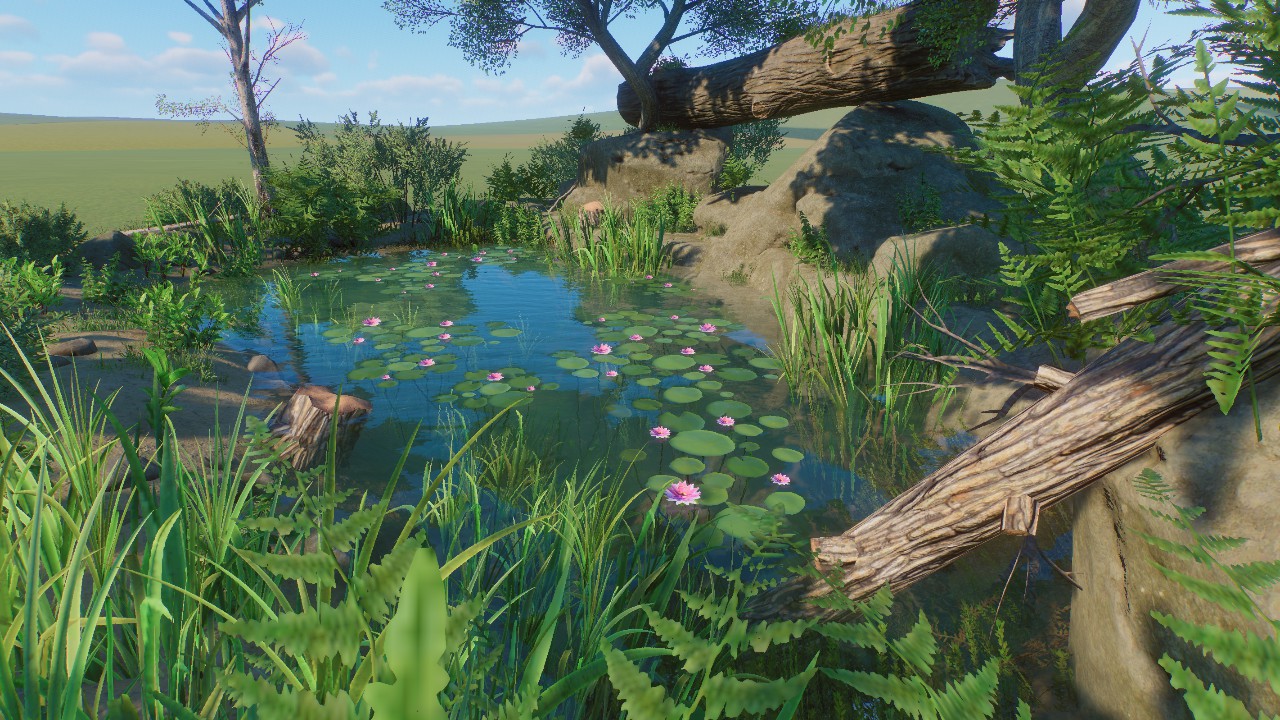 Nature Scenery 14
