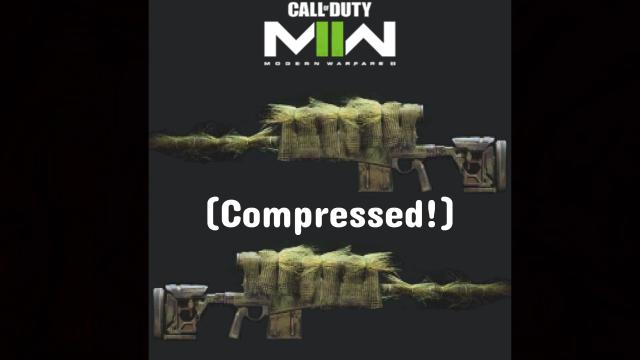 COD MW:22 Victus XMR Violence And Timing (AWP) (Compressed edition)