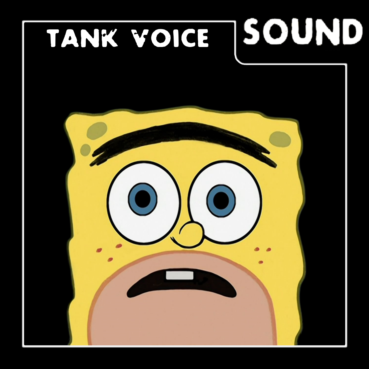 Tank Voice: Spongegar
