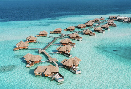 Maldives D3