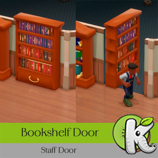 Bookshelf Door