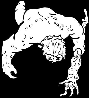 Ogre D