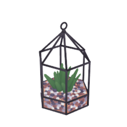 Succulent terrarium 
