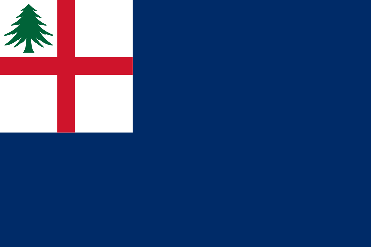 Bunker Hill Flag preview