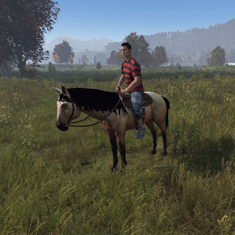 DayZ Horse