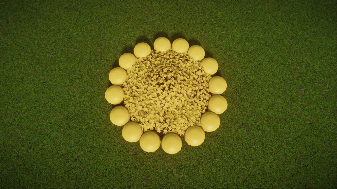 Sun Flower Bed