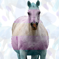 trnsgrner