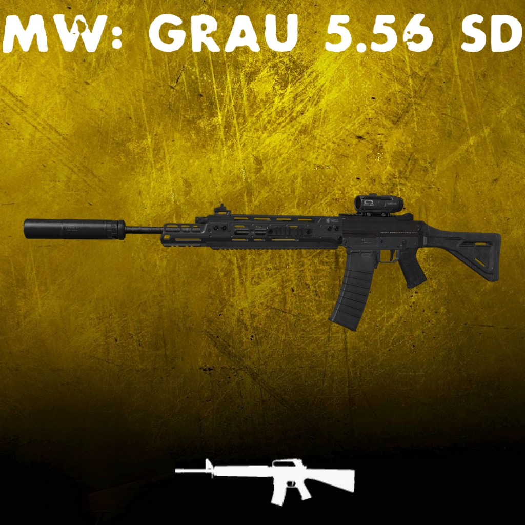 MW19: Grau 5.56 SD (M16)