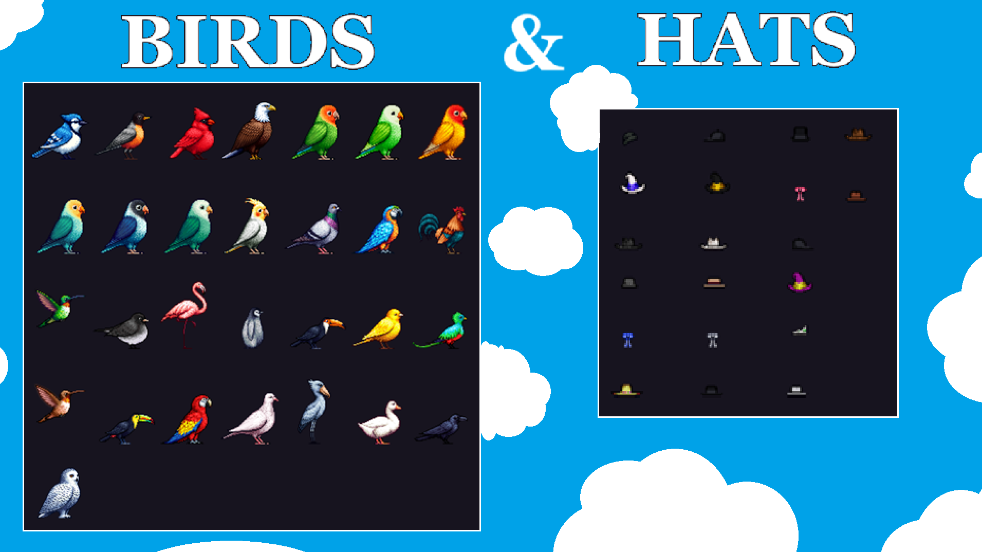 Birds & Hats