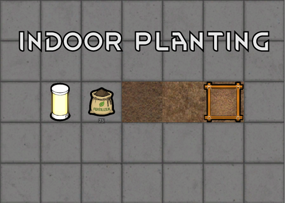 Indoor Planting 室内种植