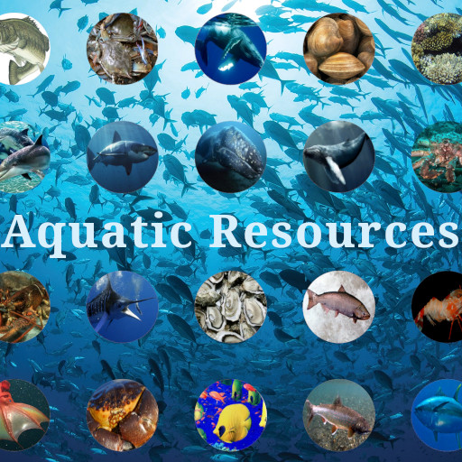 +Aquatic Resources+