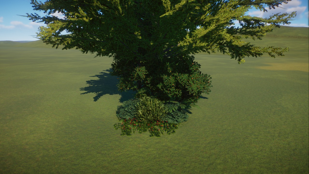 Asiatic temperate cluster