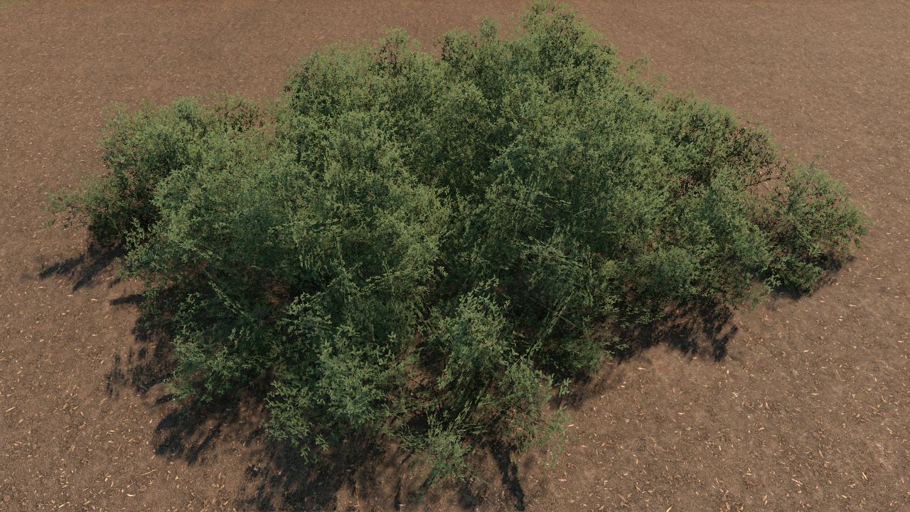 Azalea Bush Bundle