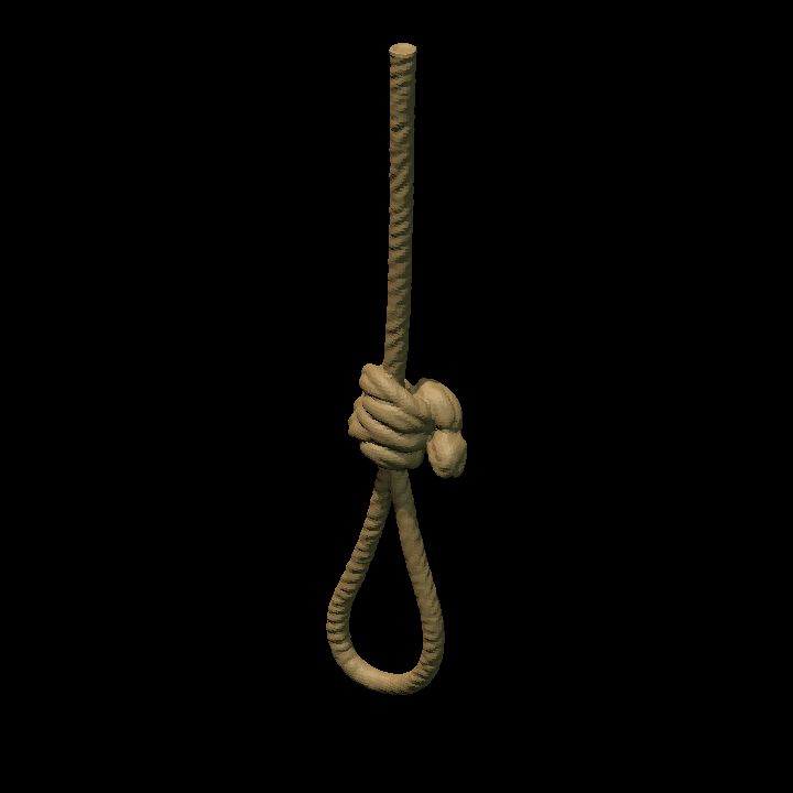 Simple rope noose