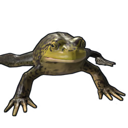 frog