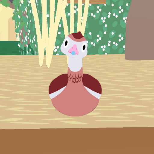 Black-Bellied Whistling-Duck