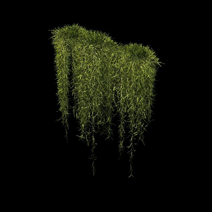 Spanish moss_02