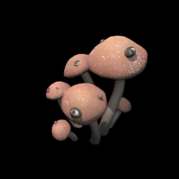 Mycelia with Eyebles