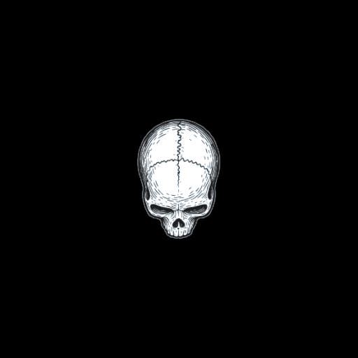 Skull 1