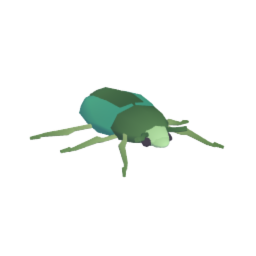 Beetle Friend