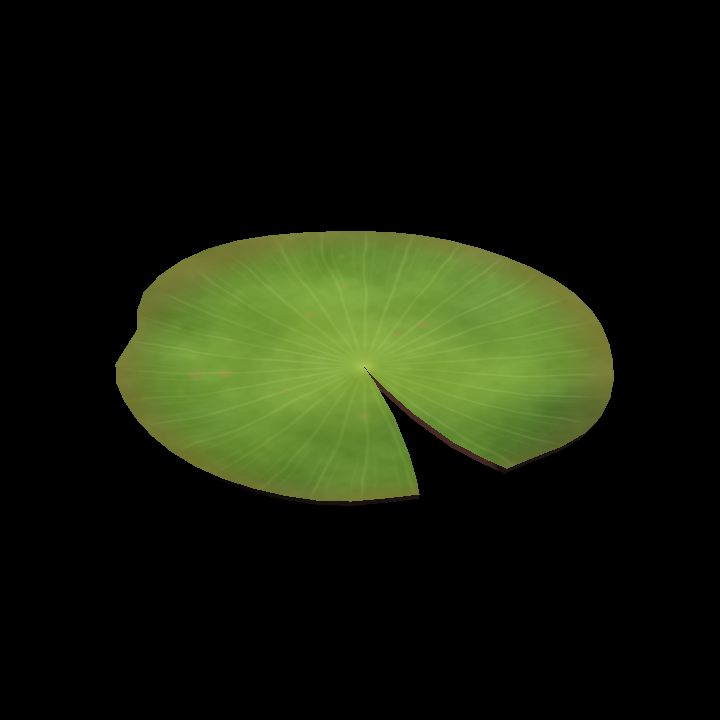 Water Lily – Medium