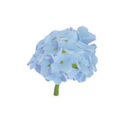 Hydrangea flower