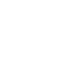 ModLocalizer