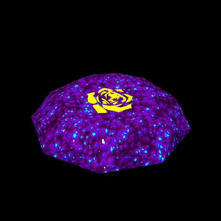 A glowing sigil stone A - rose