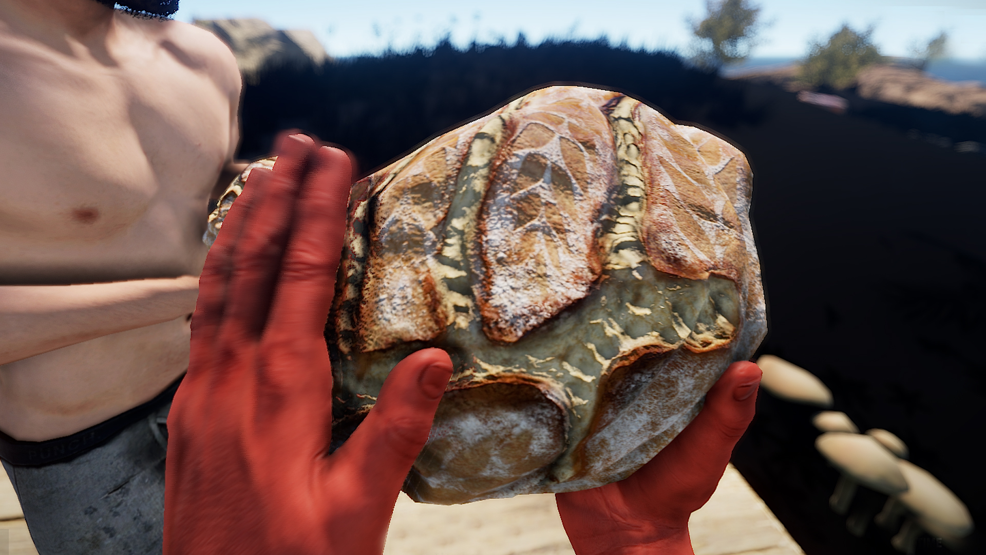 Sourdough Bread