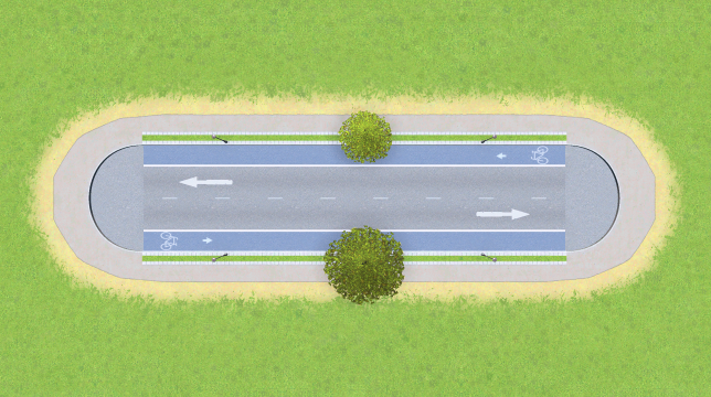 Small Road with Blue Bicycle Lanes, Trees, No Parking