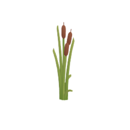 Cattail Reeds V1