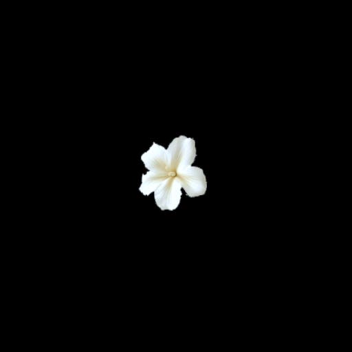 White Flower 1
