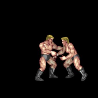 Short-Range Lariat B