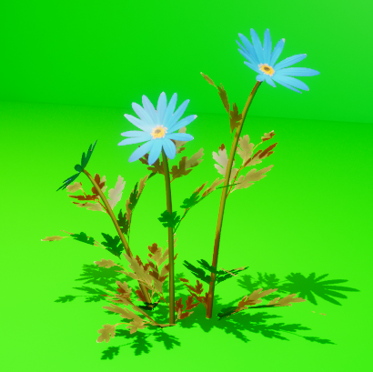 Spring_Flower1