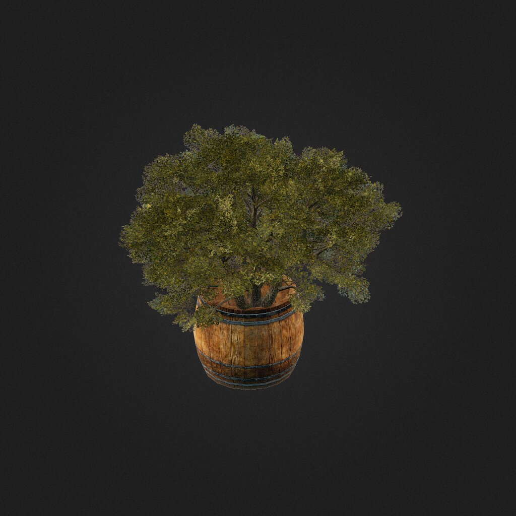 Potted Plant