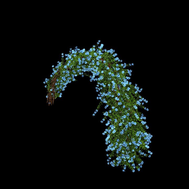 Garden Bow Blue