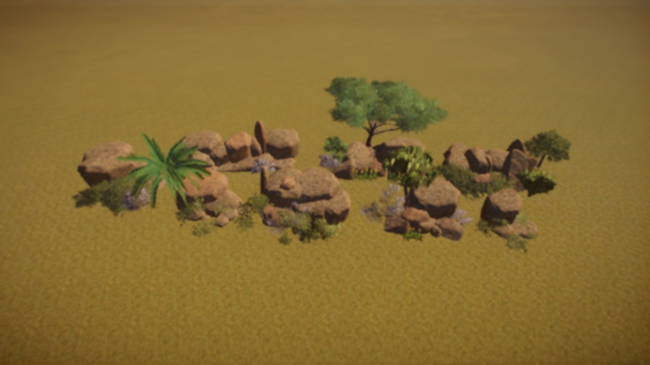 Desert Rock with Africa Flora
