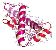 More Realistic Prion